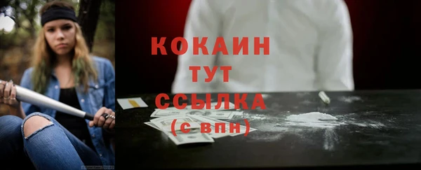 прущие грибы Бронницы