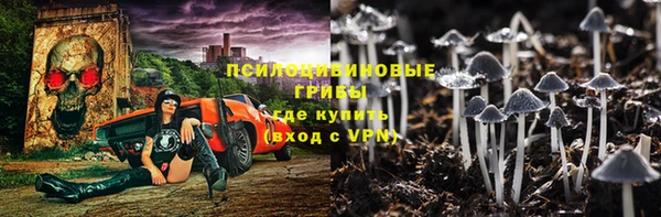 прущие грибы Бронницы