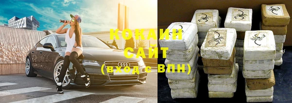 прущие грибы Бронницы