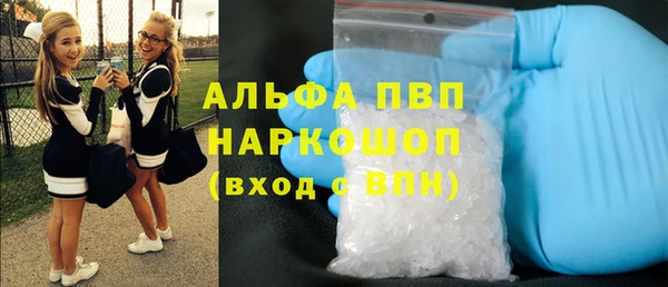 a pvp Бородино