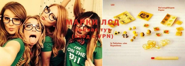 прущие грибы Бронницы